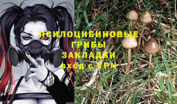 ПСИЛОЦИБИНОВЫЕ ГРИБЫ Зерноград