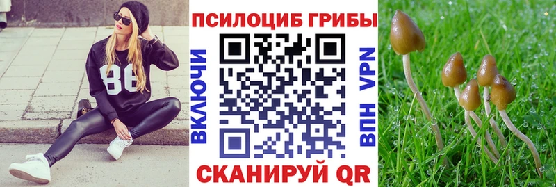 Галлюциногенные грибы мухоморы  ОМГ ОМГ ТОР  darknet какой сайт  Старый Крым 